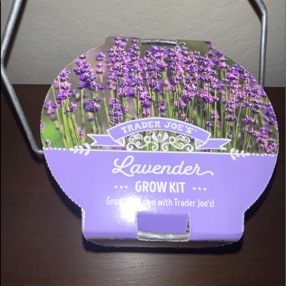 Trader Joe’s Accents Trader Joes Lavender Grow Kit Poshmark
